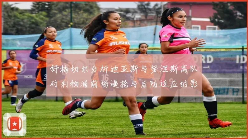 舒梅切尔分析迪亚斯与努涅斯离队对利物浦前场逼抢与后防适应的影响